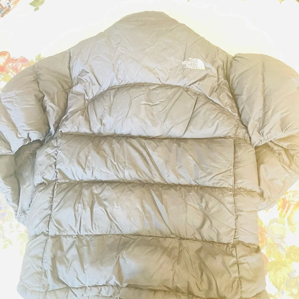 The North Face Nuptse 700 Down Jacket Blue Speckled